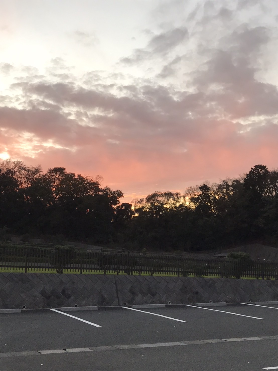 秋の夕焼け 六浦霊園 神奈川県横浜市の大規模公園墓地